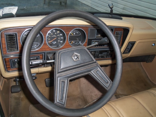 103_2205 (500x375).jpg