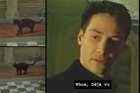 1693209853369.png