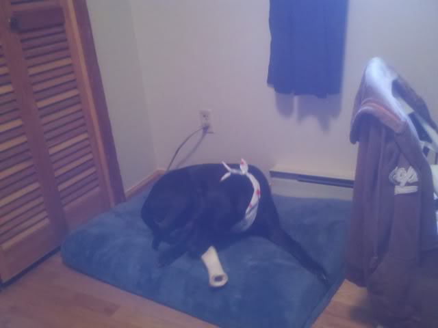 2011-09-04_15-22-47_307.jpg