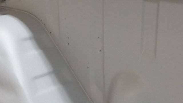 20151213_001226.jpg
