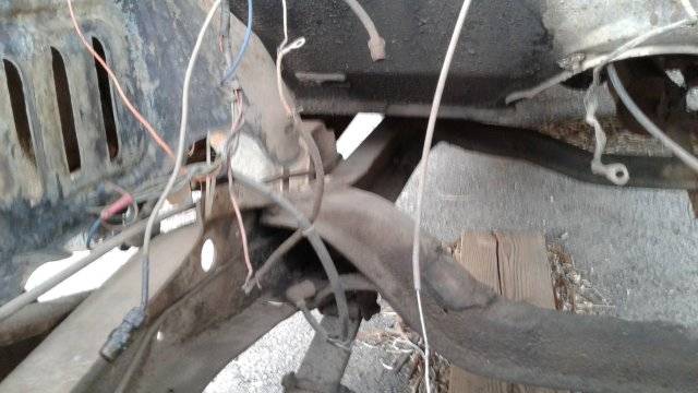 20170406_114535.jpg