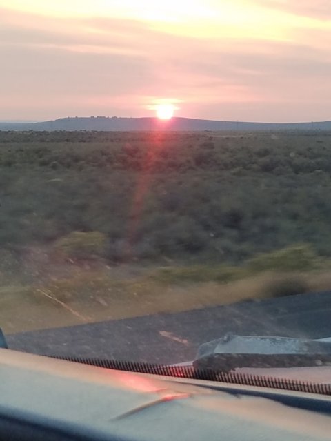 20170916_064848.jpg