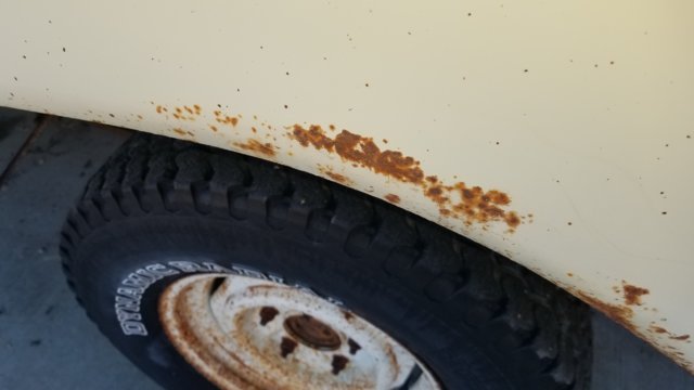 20181018_160227.jpg