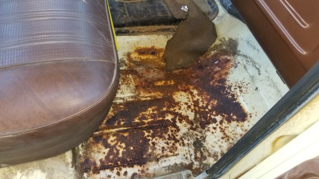 20181018_160358.jpg