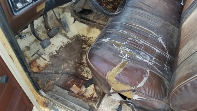 20181018_160443.jpg
