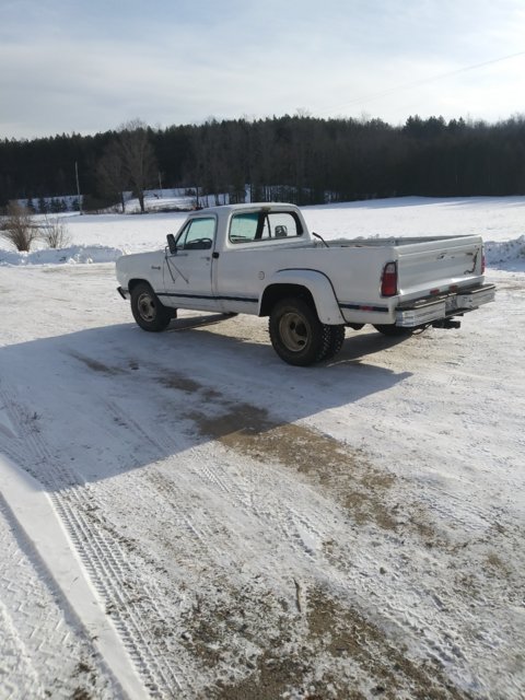 20181124_095008.jpg