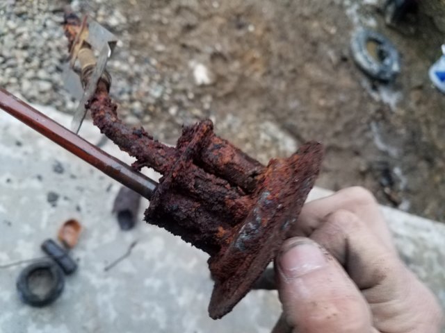 20190309_180107.jpg