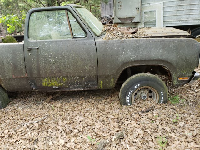 20190405_153731.jpg