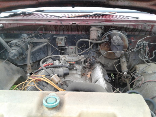 20190426_103544.jpg