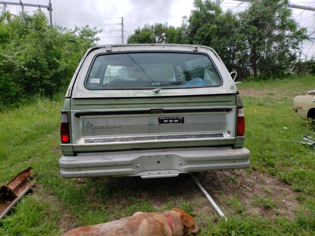 20190506_173950.jpg