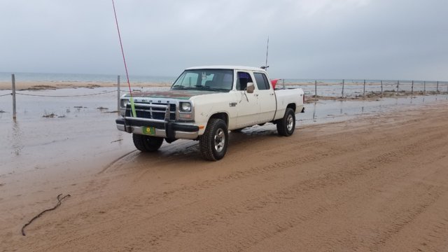 20190525_092528.jpg