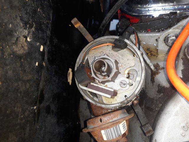 20190921_122813.jpg