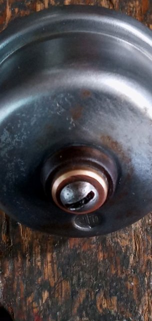 20210506_110925.jpg