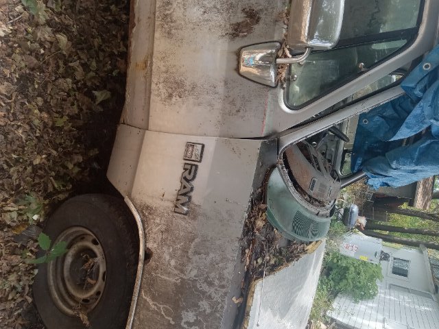 20251011_114724.jpg