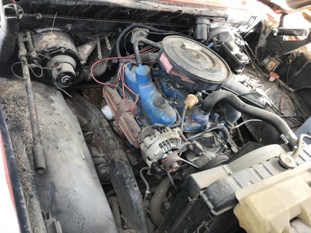 2A4E64FD-B365-440C-AB3A-177AEA1DDDDD.jpeg