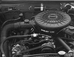 89shelbydak2.jpg