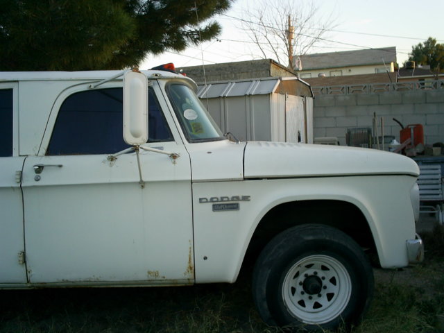 bearstoys 023.jpg