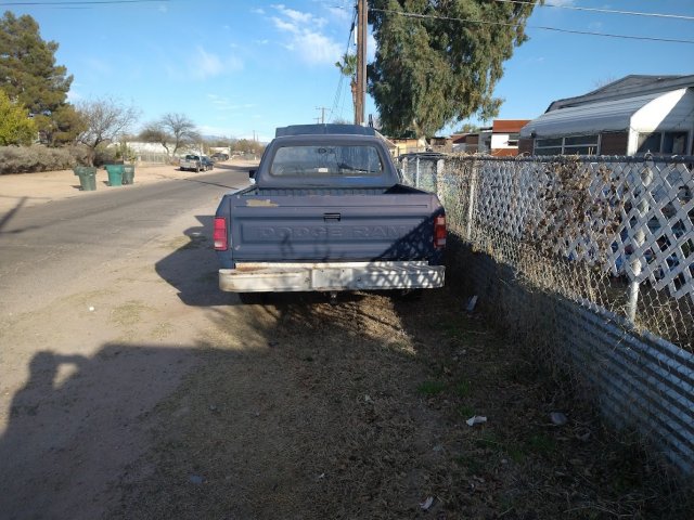 Bill-rear.jpg