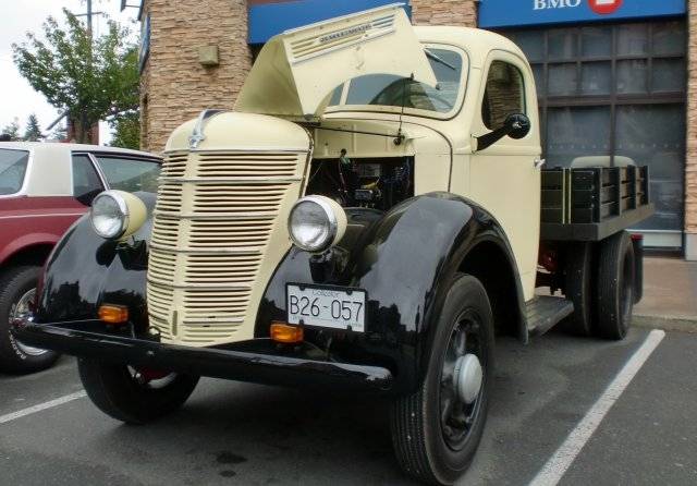 CIMG9350 crop.jpg