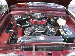 cuda plant.jpg