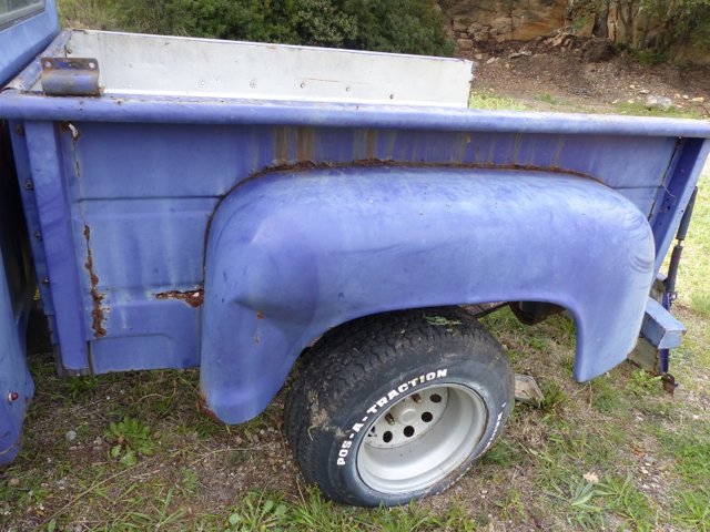 d 100 fender.jpg