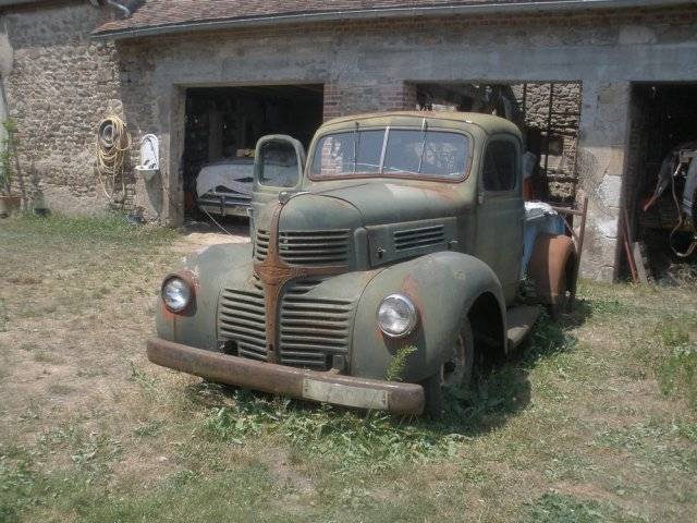 d15  01.jpg