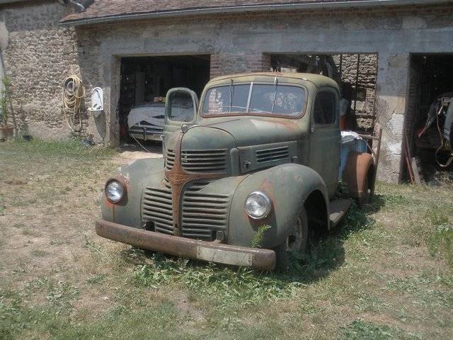 d15  01.jpg