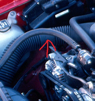 dak engine bay.jpg