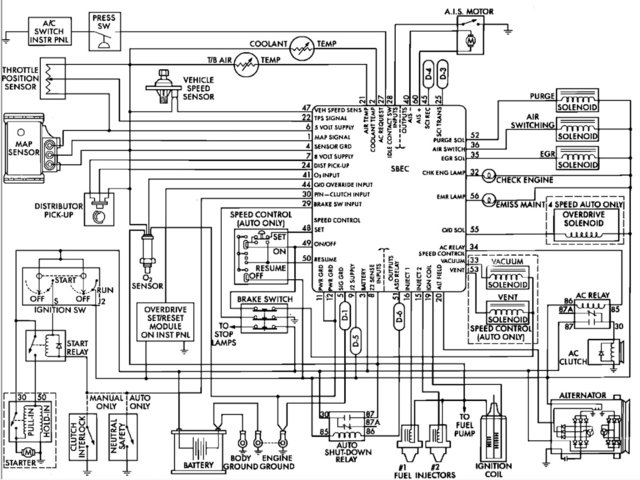 Diagram 1.jpeg