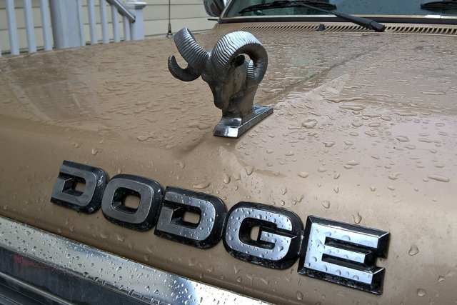 Dodge02.jpg