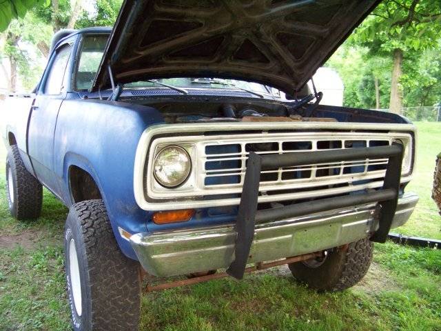 dog front shot.JPG