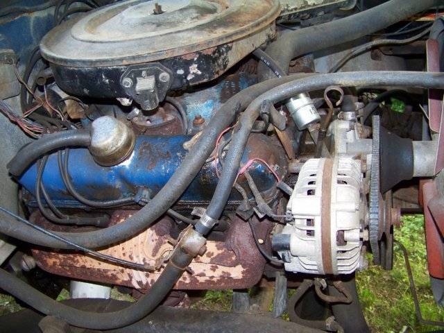dog motor1.JPG