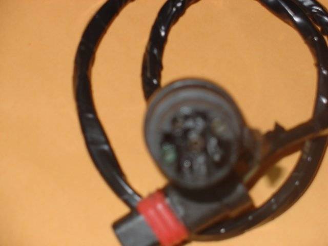 DSC00149.JPG