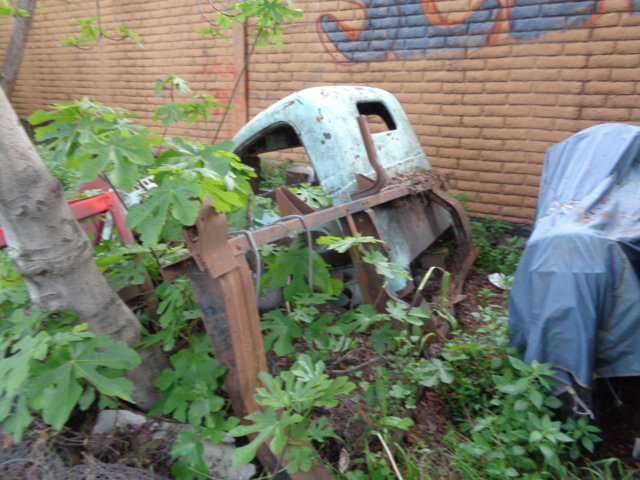 DSC00448.JPG