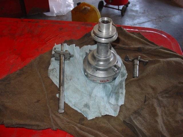 DSC01338.JPG