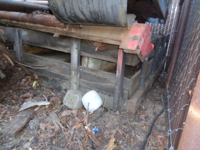DSC01420.JPG