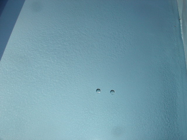 DSC02507.JPG