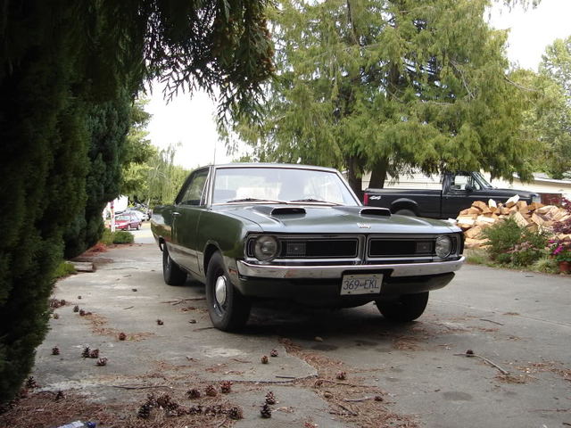 DSC02743.jpg
