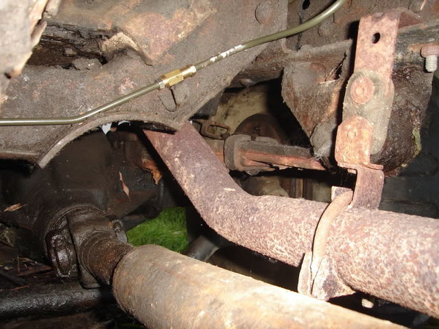 DSC05229.jpg