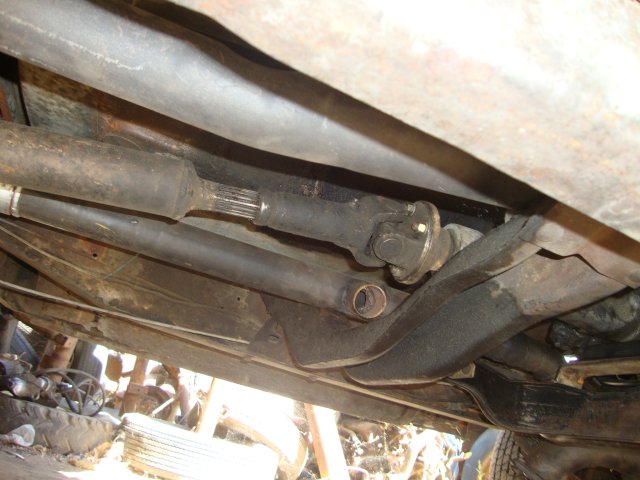 DSC07589.JPG