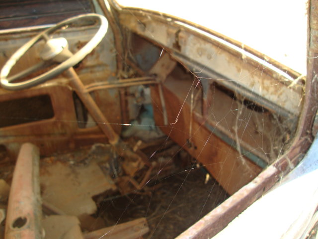 DSC08148.JPG