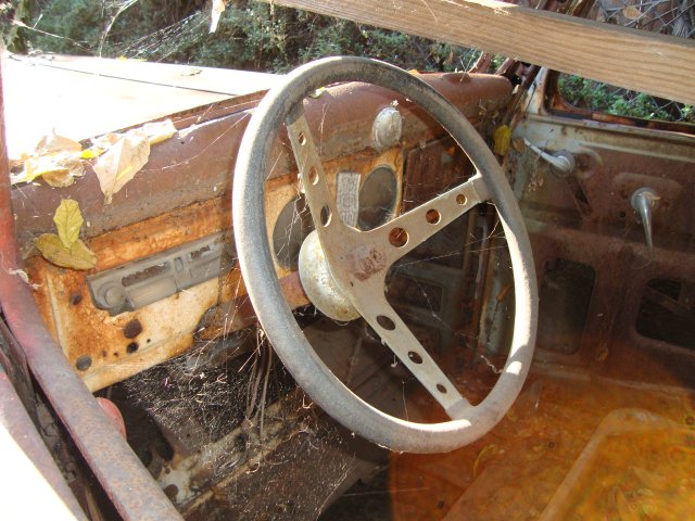 DSC08154.JPG