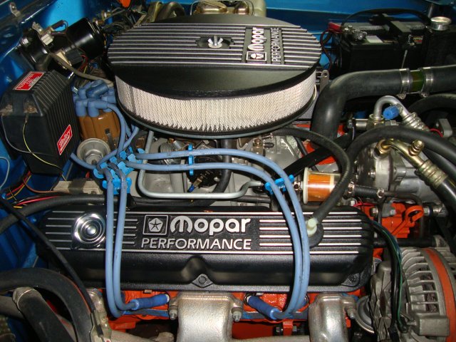 DSC08620.JPG