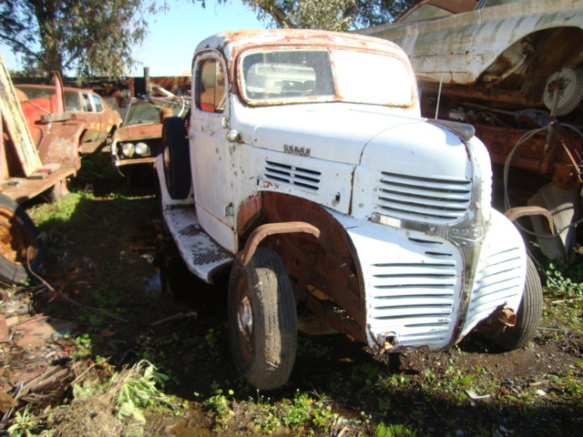 DSC08816.JPG