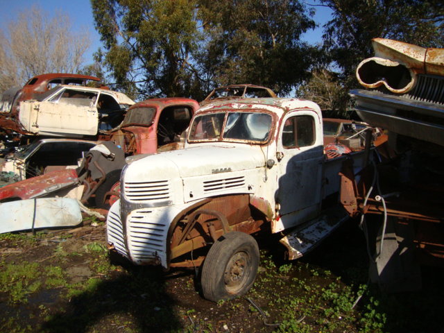DSC08837.JPG