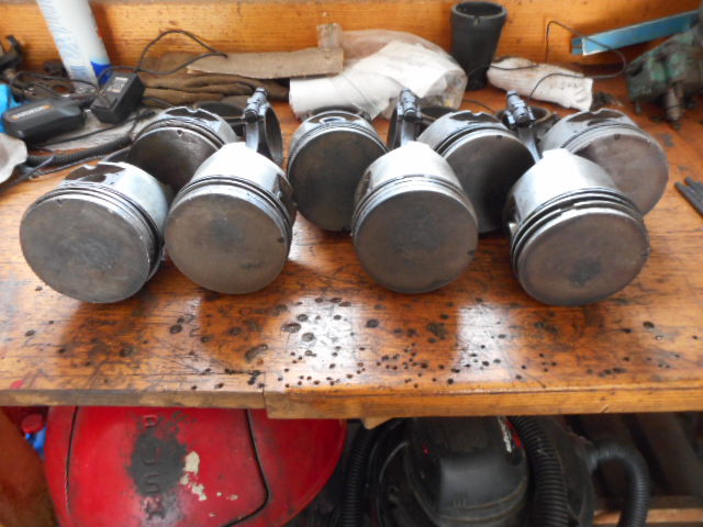 DSCN0984.JPG