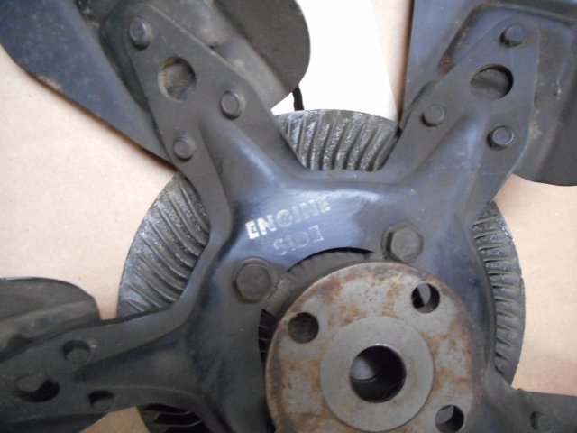 DSCN8598.JPG