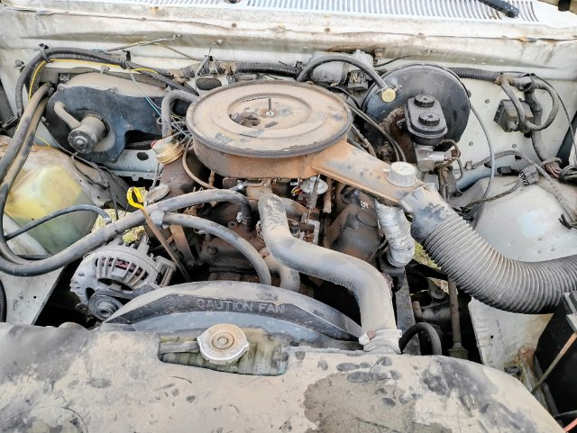 engine bay.jpg