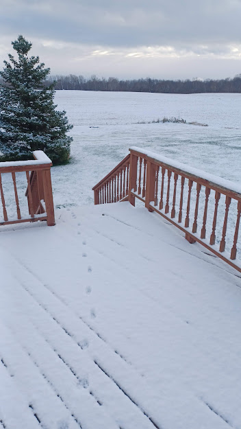 First snow.jpg