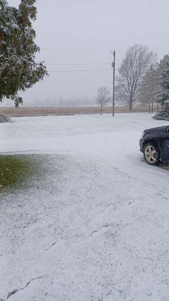 First snow.jpg